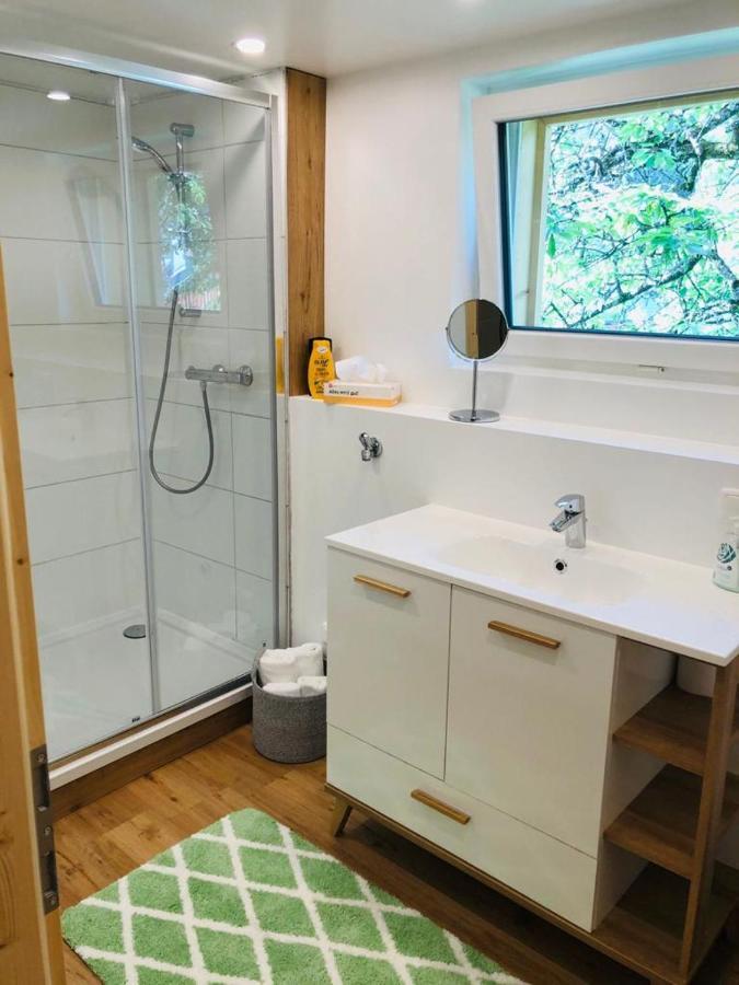 Alpine Appartments Ausseerland باد اوسي المظهر الخارجي الصورة